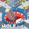 Hole IO
