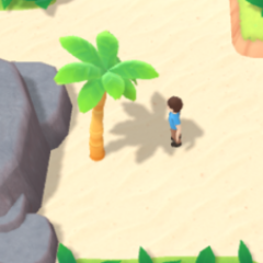 Alone on Island Alone on Island